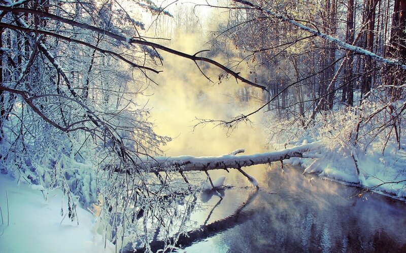 Snowy forest stream with steam