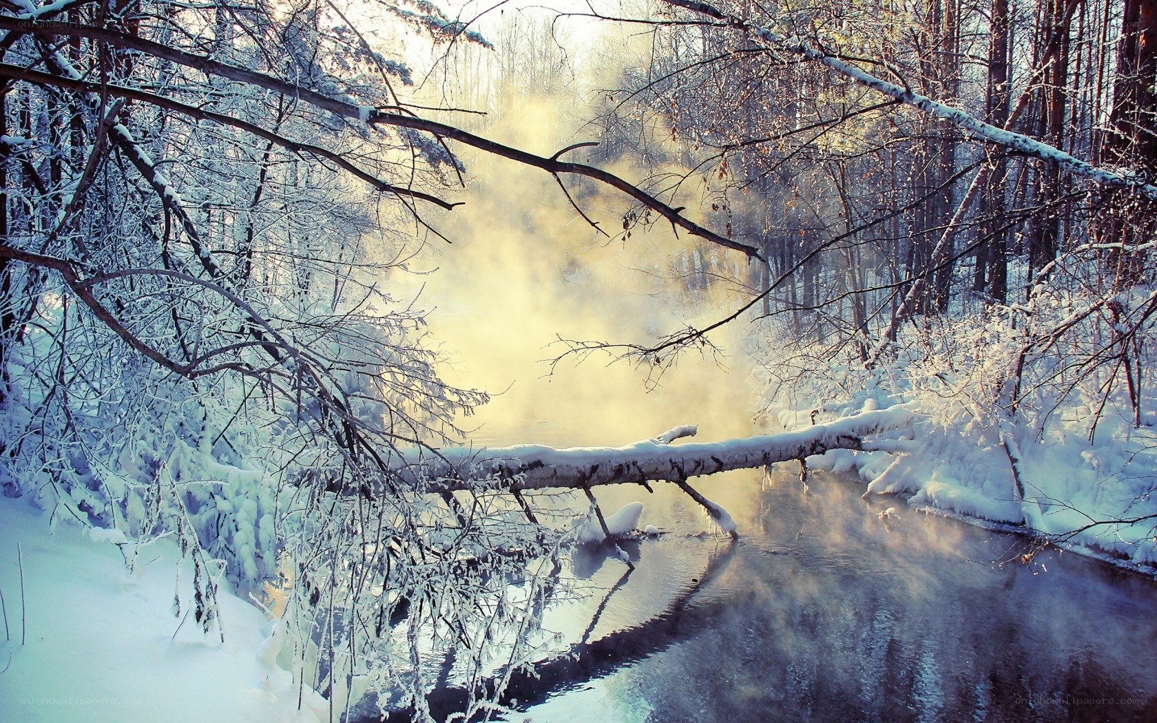 Snowy forest stream with steam