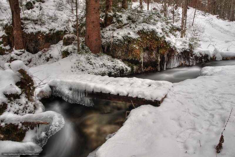 Snowy forest stream with wooden bridge