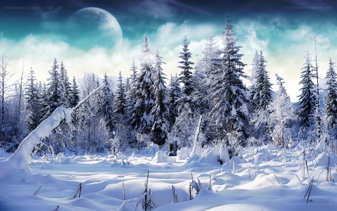 Snowy forest under a large moon