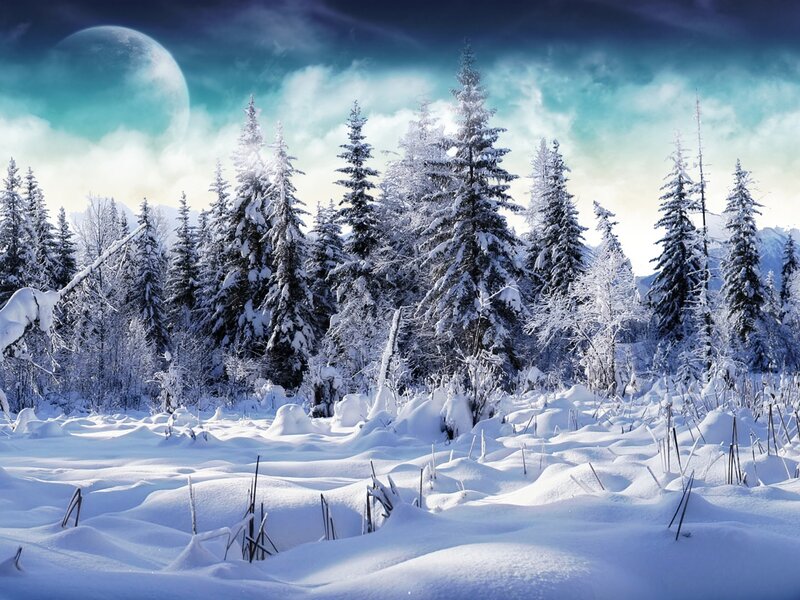 Snowy forest under a large moon