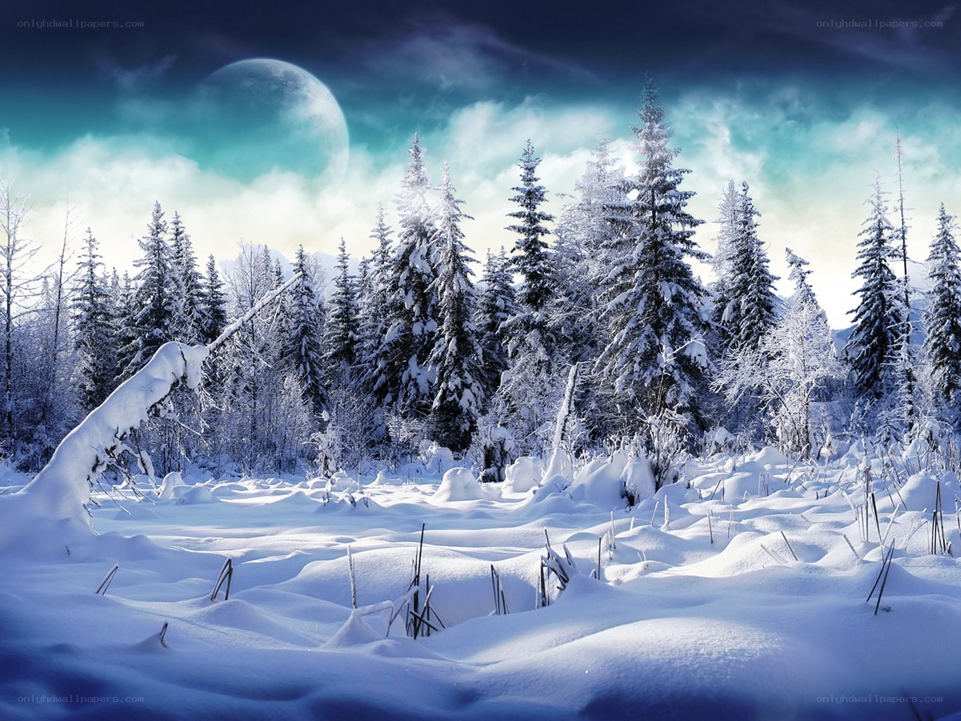 Snowy forest under a large moon
