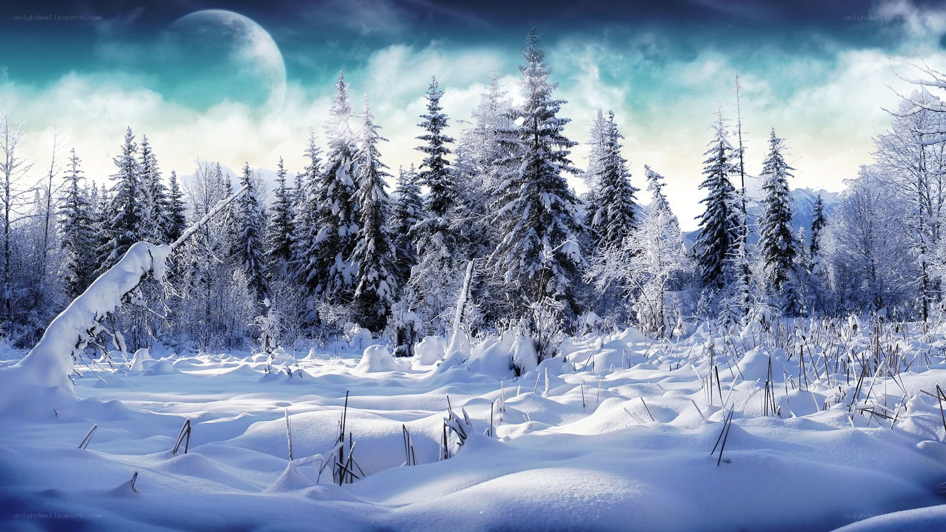 Snowy forest under a large moon