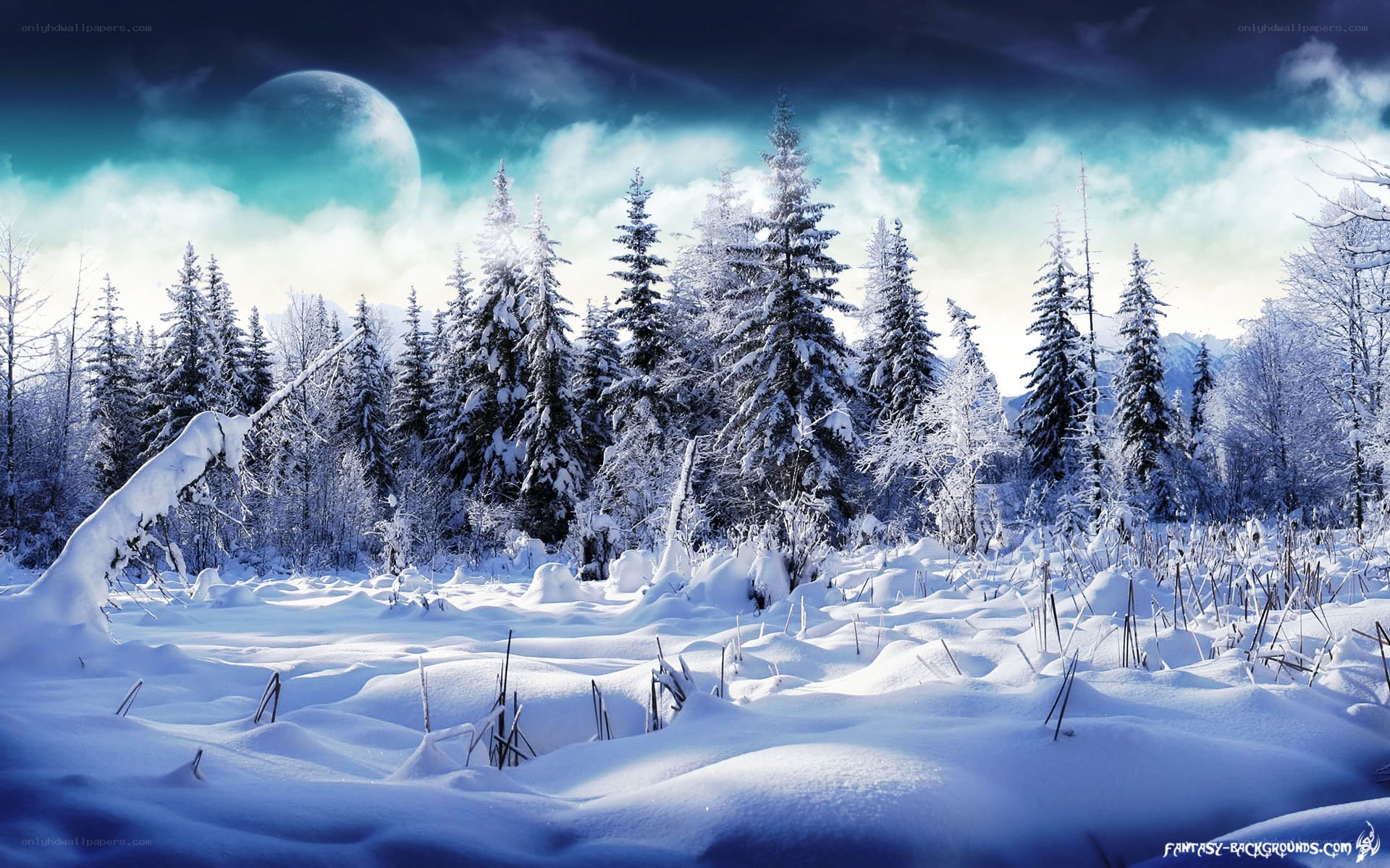 Snowy forest under a large moon