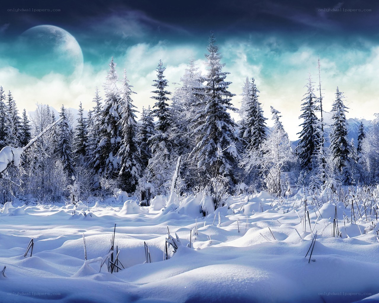 Snowy forest under a large moon