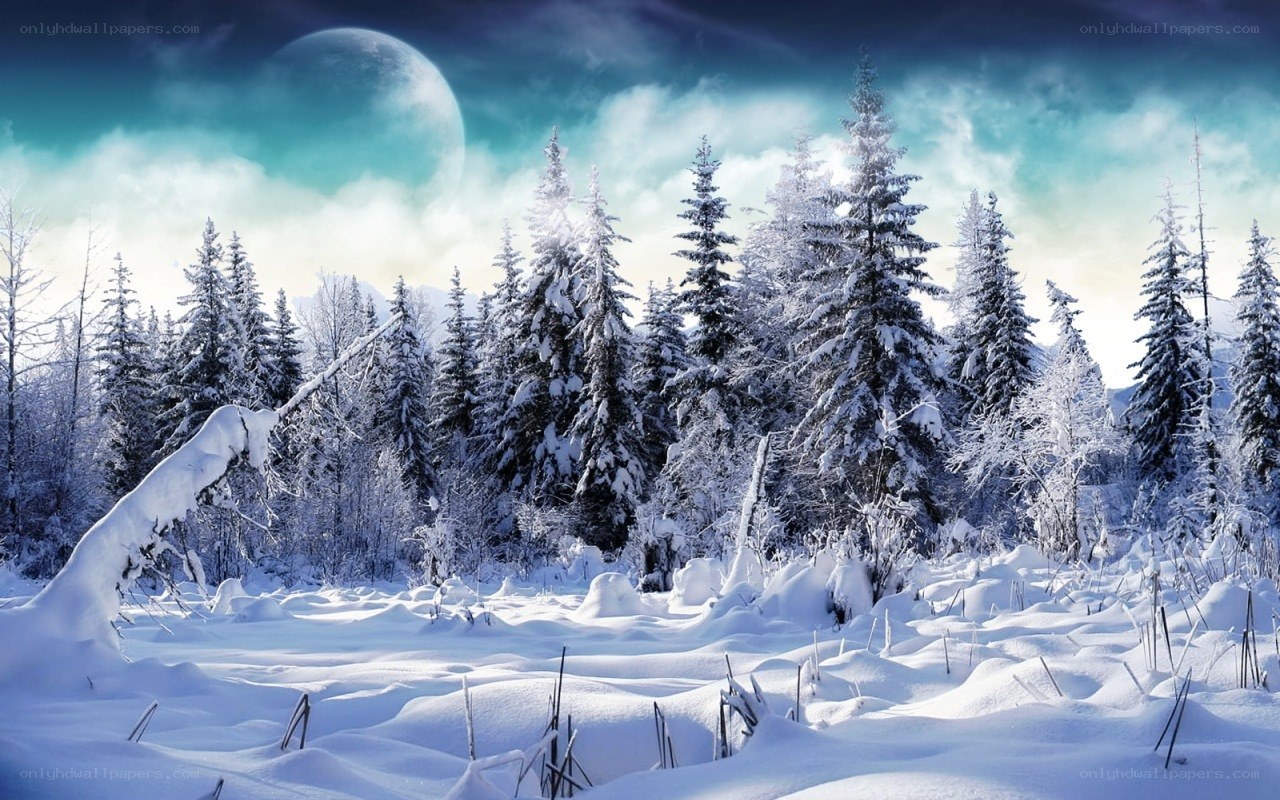 Snowy forest under a large moon