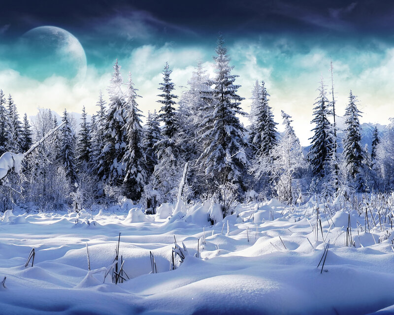 Snowy forest under a large moon