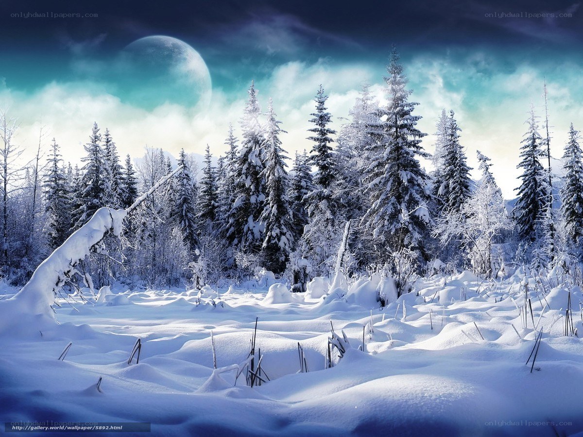Snowy forest under a large moon