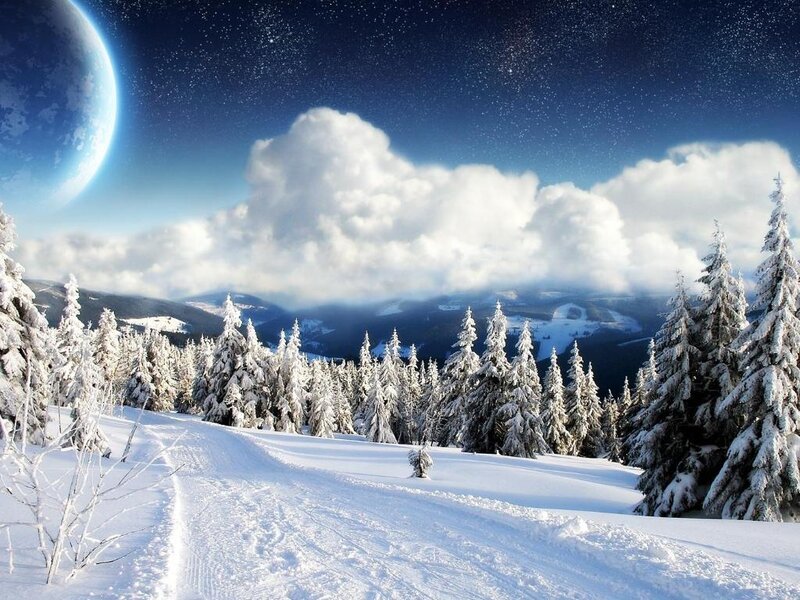 Snowy forest under a starry sky