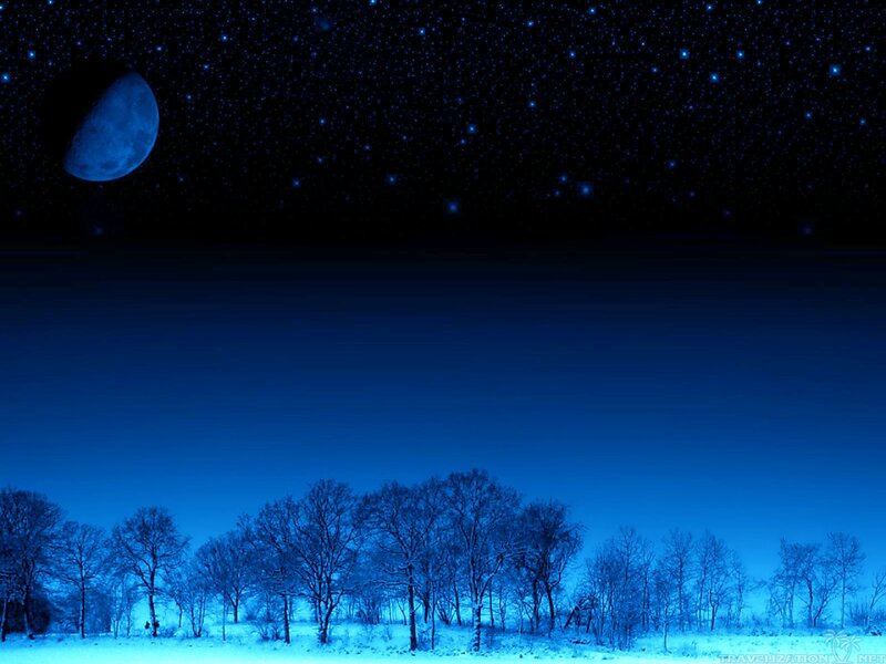 Snowy Forest under Moon — Blue, Serene, Night