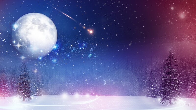 Snowy Forest under Moon — Blue, Serene