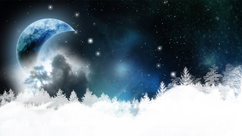 Snowy Forest under Moon