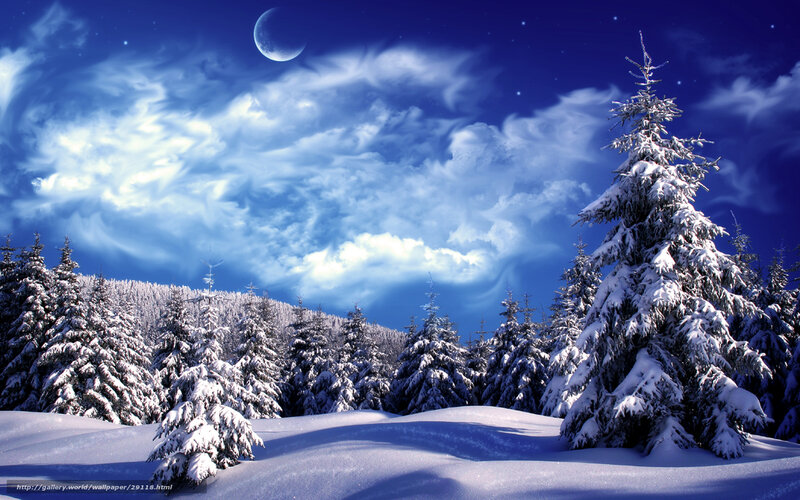 Snowy forest under moonlight