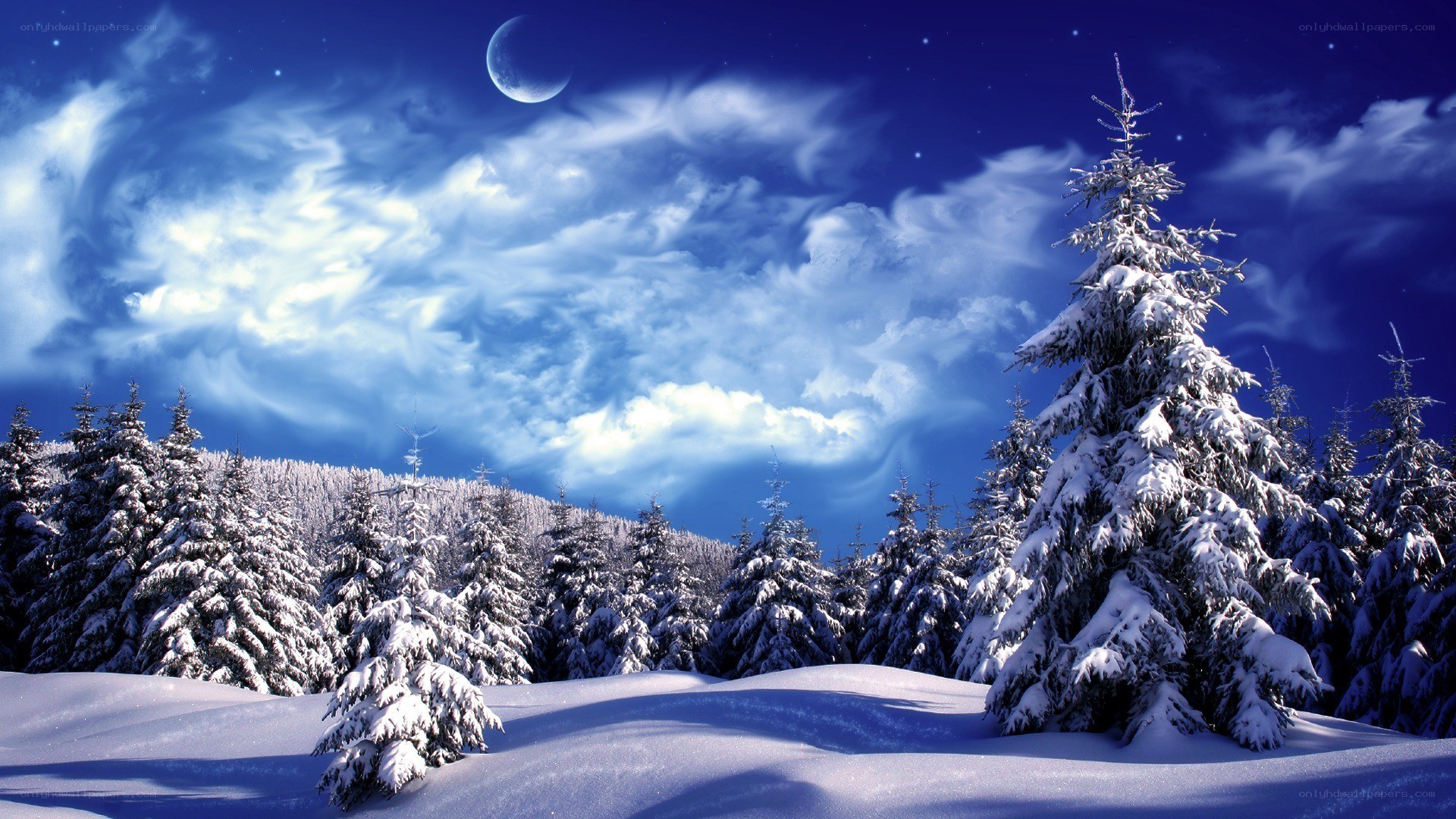 Snowy forest under moonlit sky