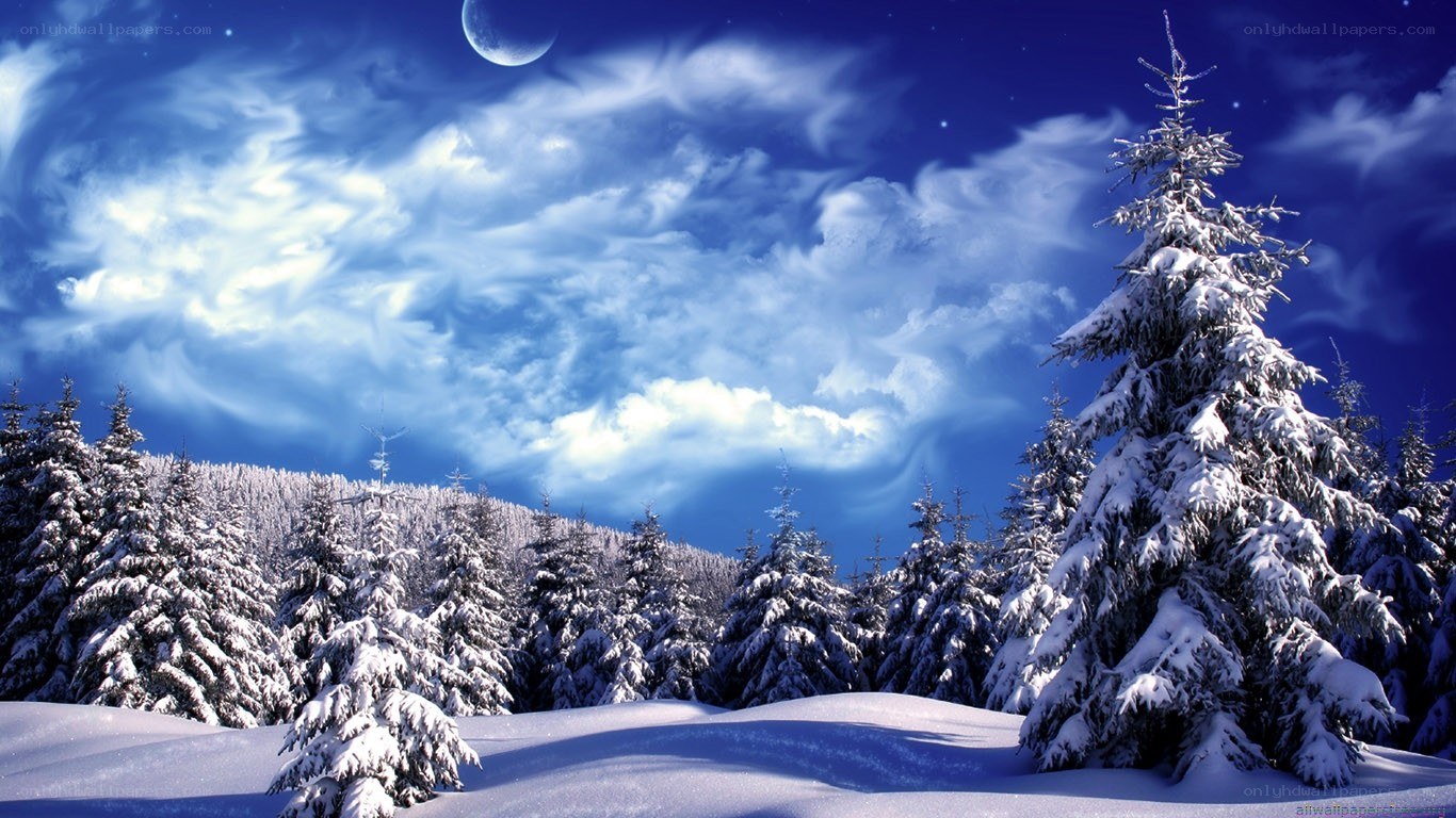 Snowy forest under moonlit sky