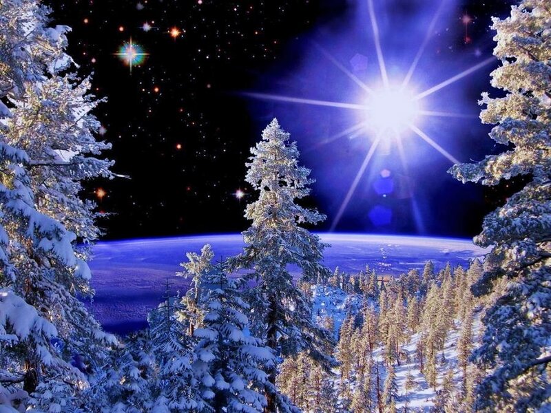 Snowy forest under starry sky