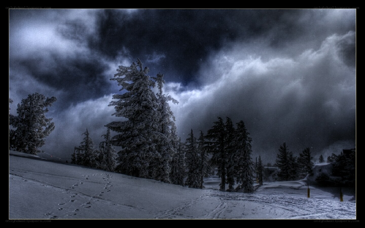 Snowy forest under stormy sky