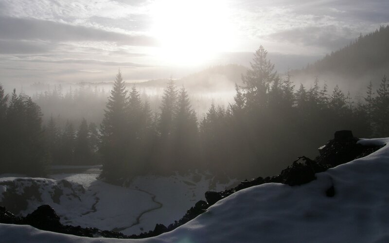 Snowy Forest Valley — White