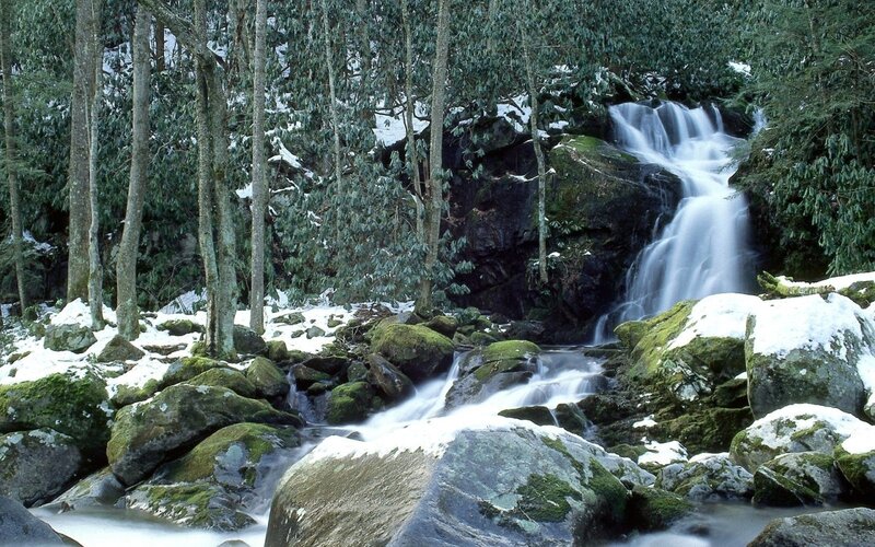 Snowy forest waterfall