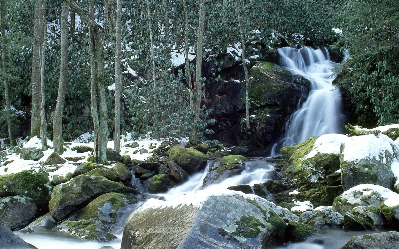 Snowy forest waterfall