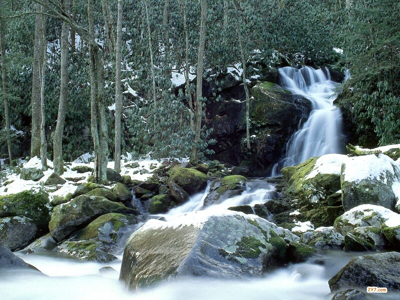 Snowy forest waterfall