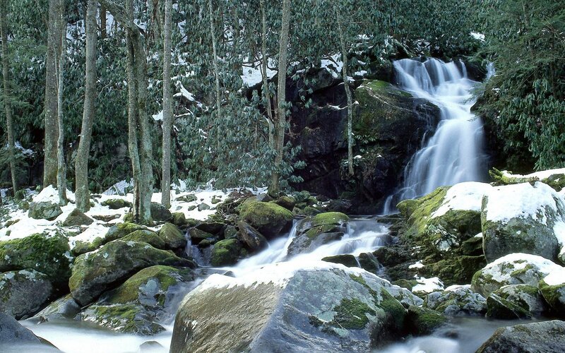 Snowy forest waterfall
