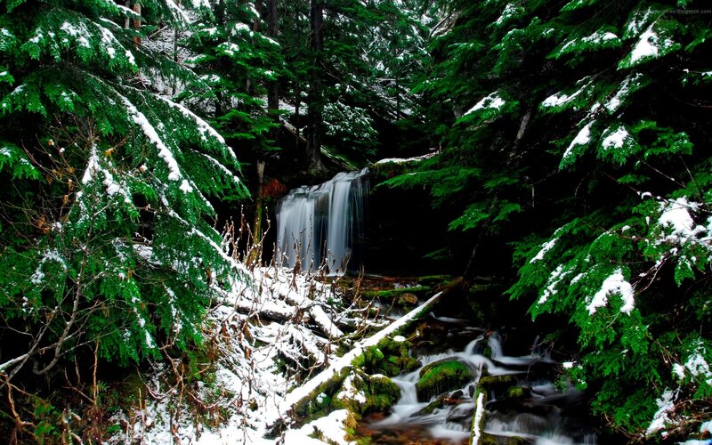 Snowy forest waterfall