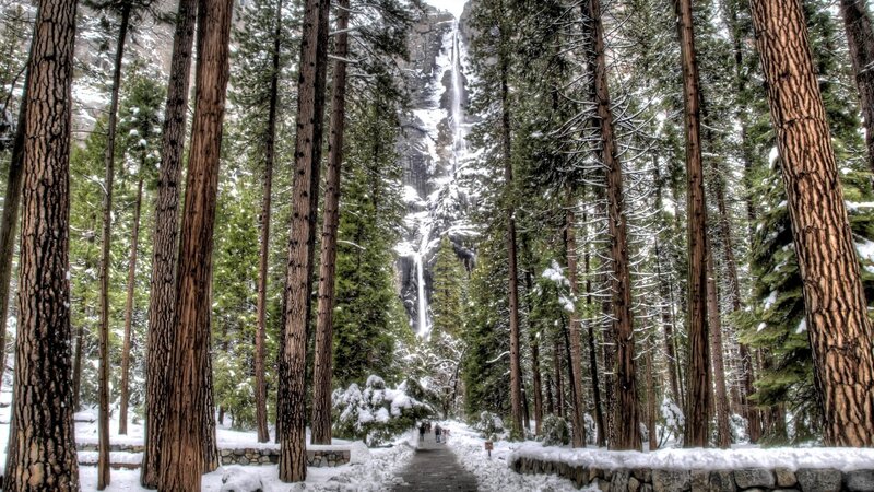 Snowy Forest Waterfall — Green