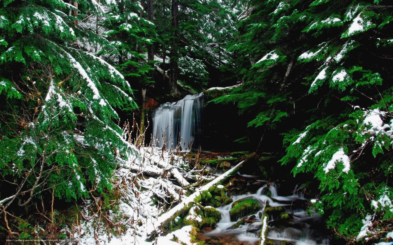 Snowy forest waterfall