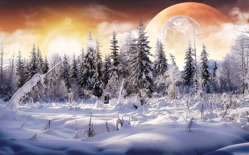 Snowy forest with alien moons