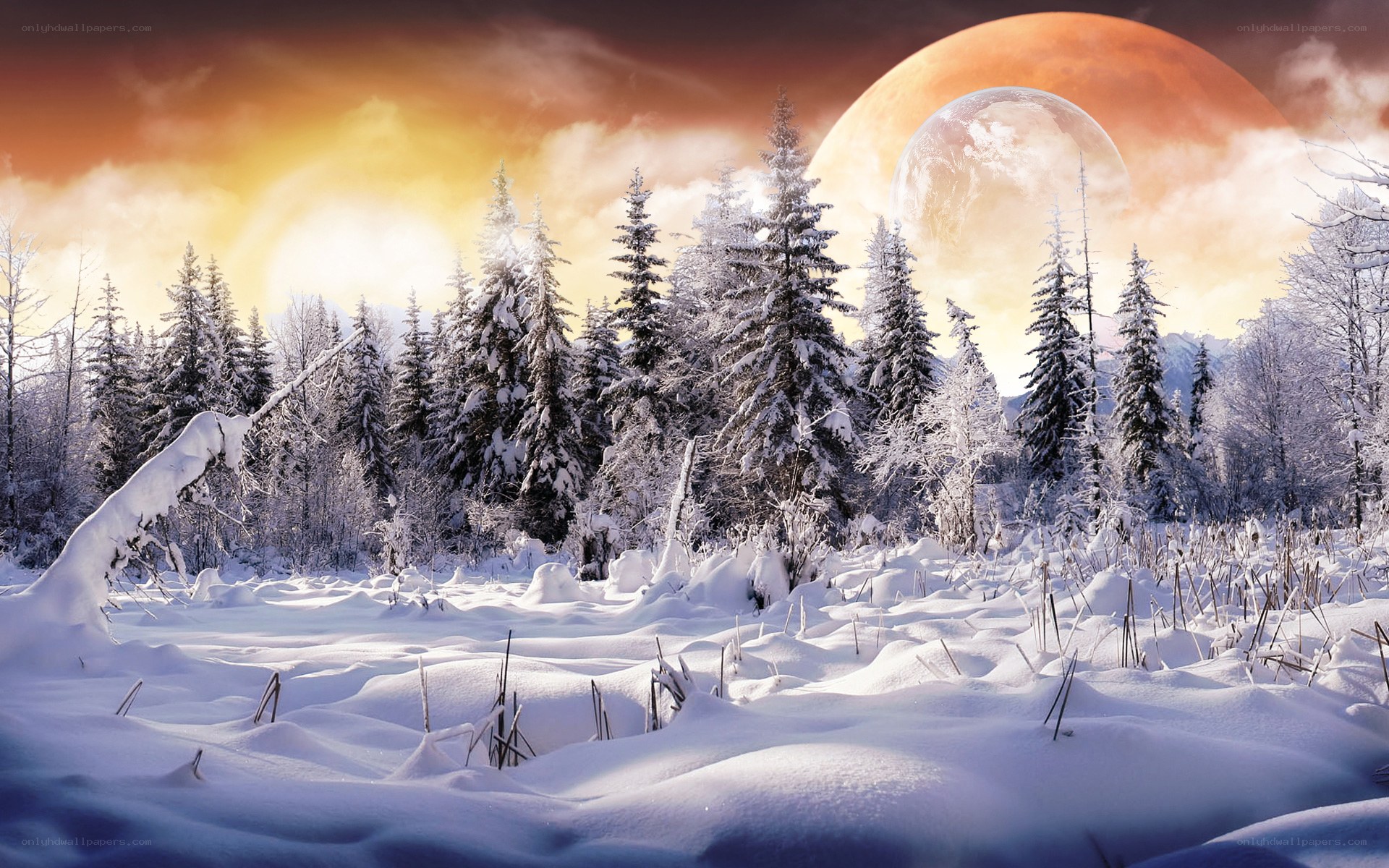 Snowy forest with alien moons