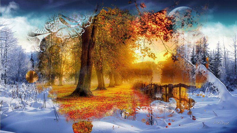 Snowy Forest with Autumn Trees — White