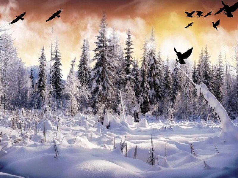 Snowy Forest with Birds