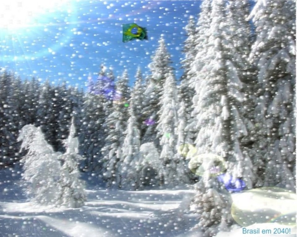 Snowy forest with Brazilian flag