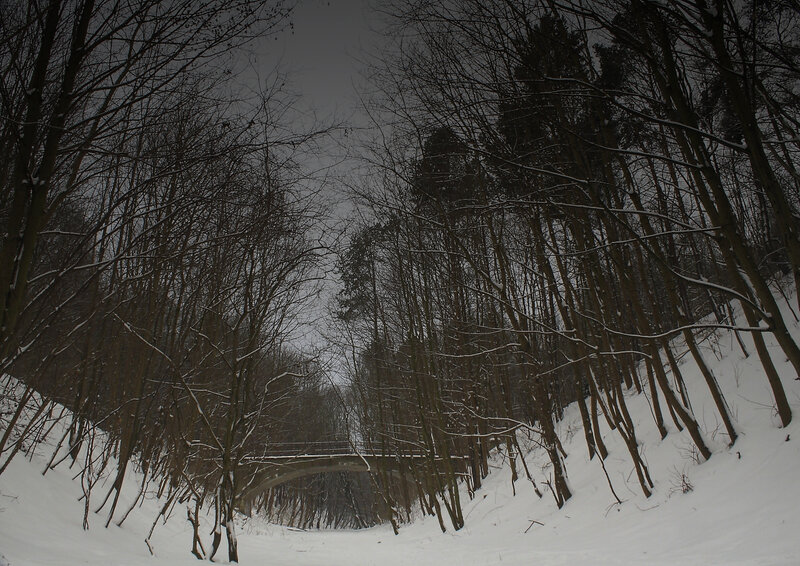 Snowy forest with bridge