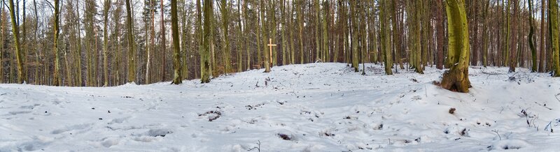Snowy forest with cross