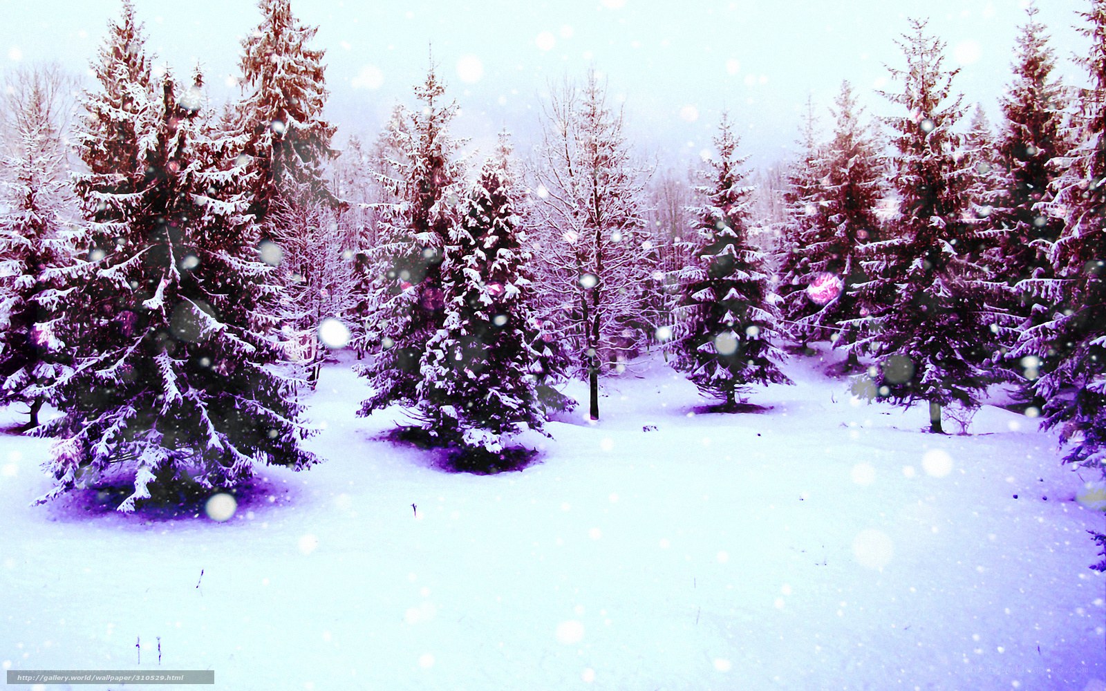 snowy forest with falling snow