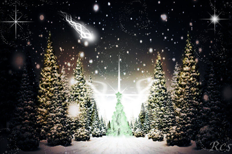 Snowy Forest with Glowing Tree