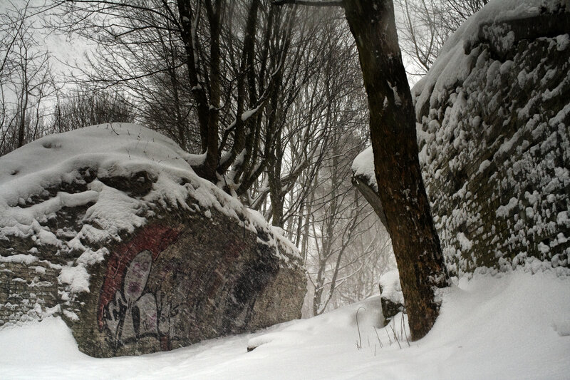Snowy forest with graffiti
