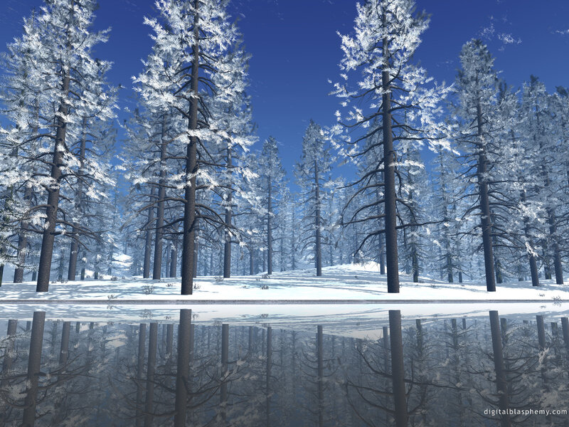 Snowy forest with lake reflection