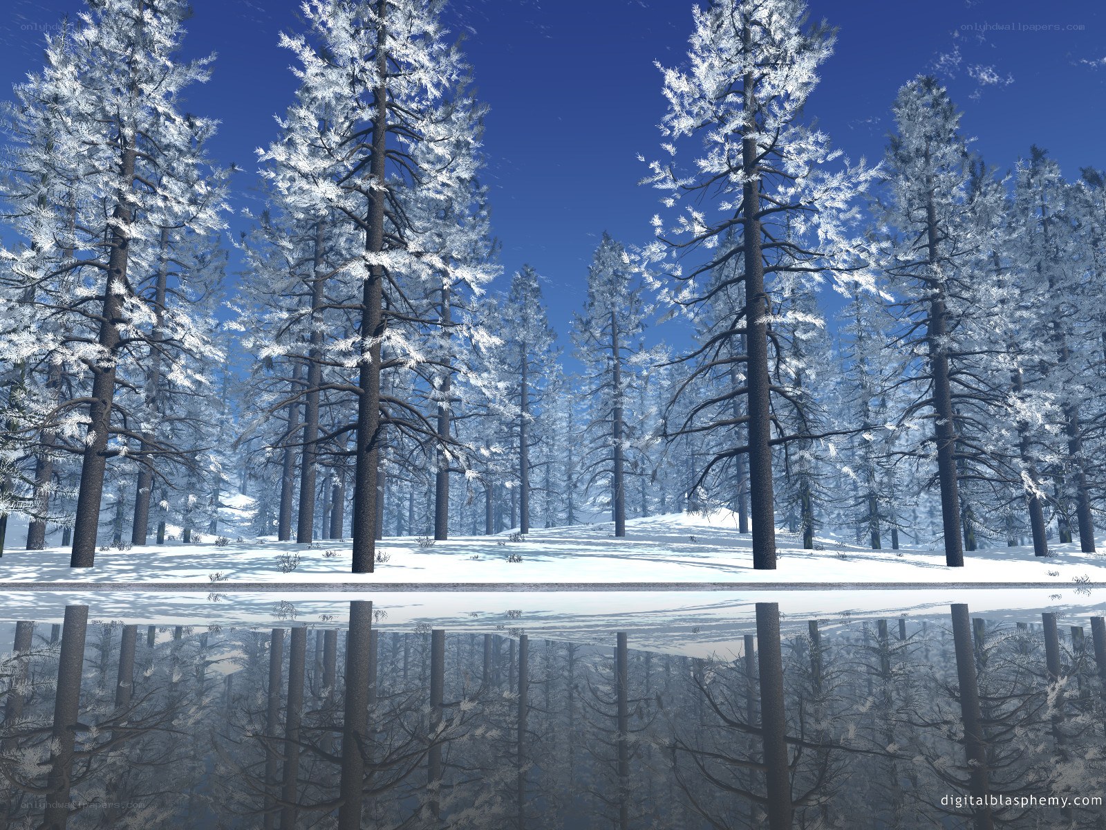 Snowy forest with lake reflection