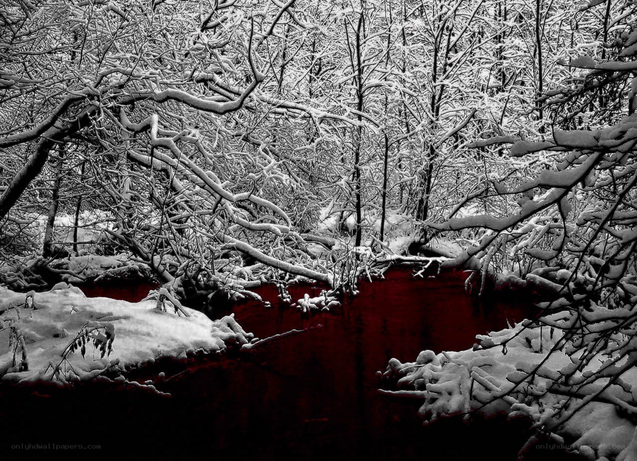 Snowy forest with red stream