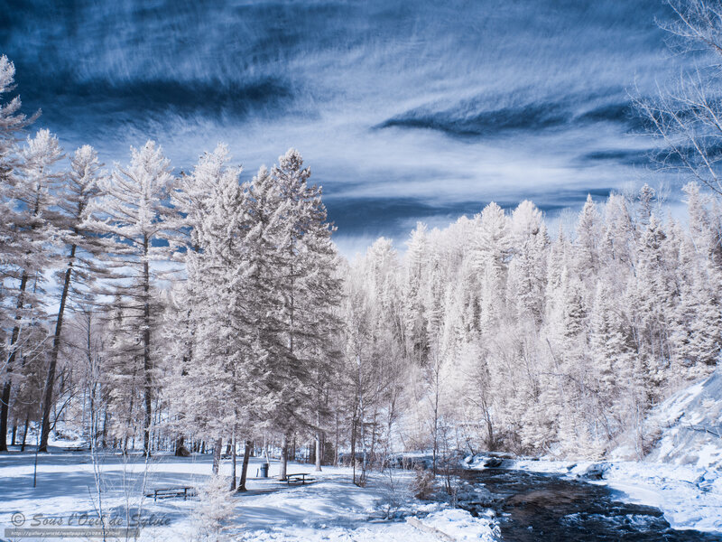 Snowy forest with river