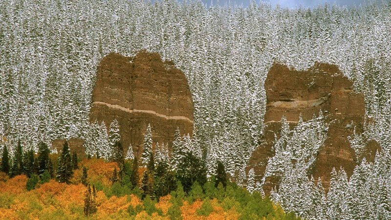 Snowy forest with rock formations