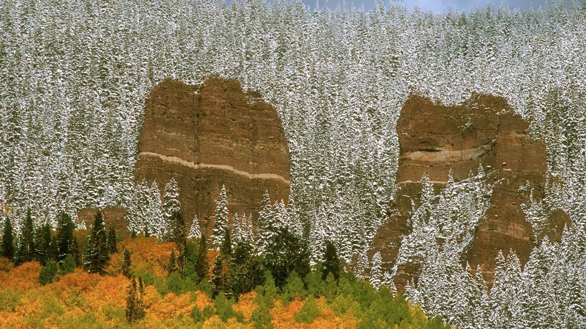 Snowy forest with rock formations