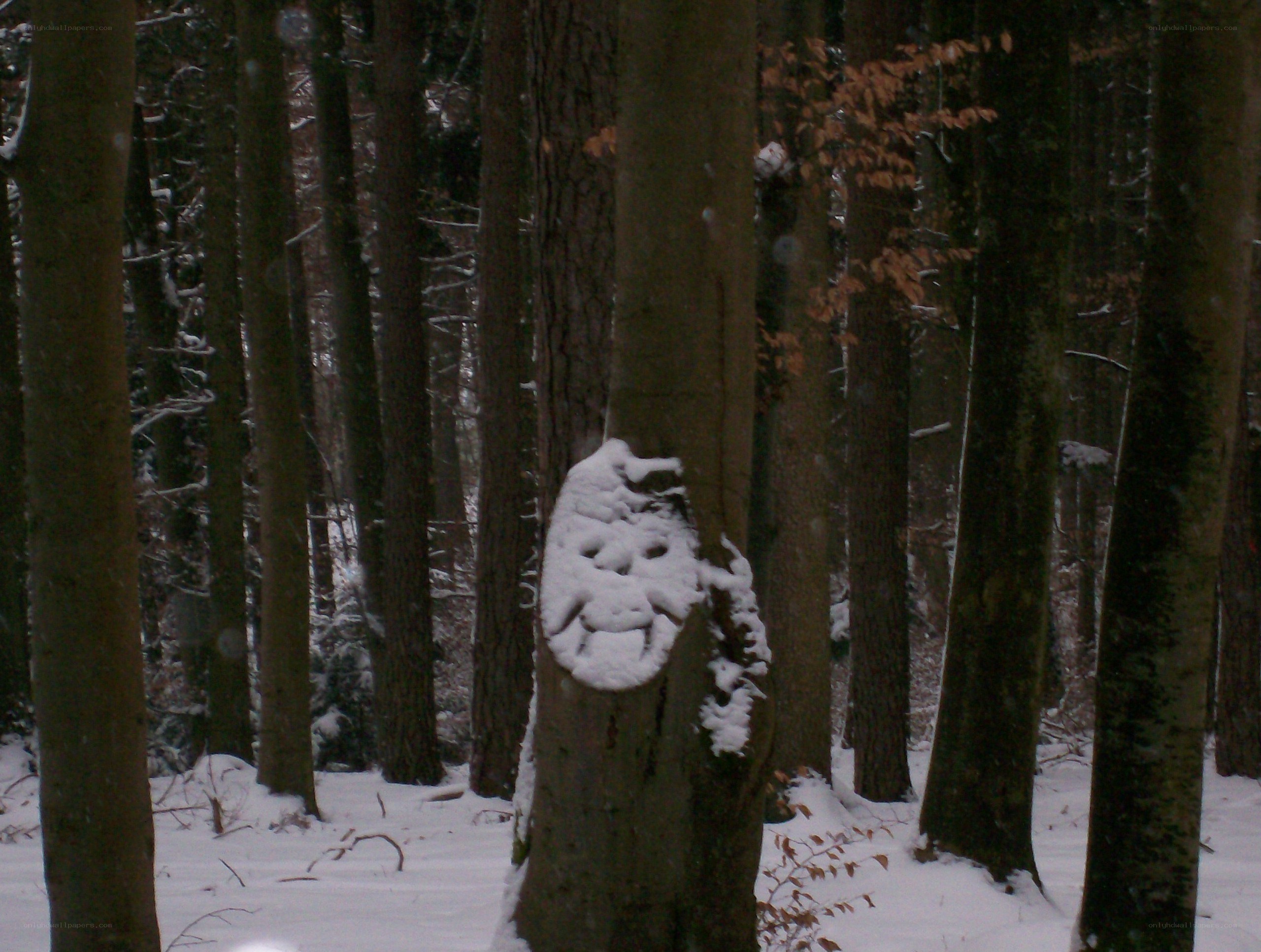 Snowy forest with snow sculpture