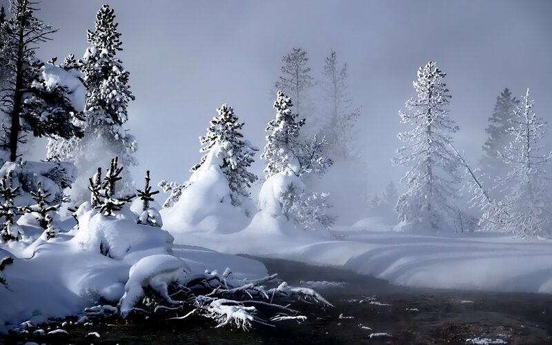 Snowy forest with steam