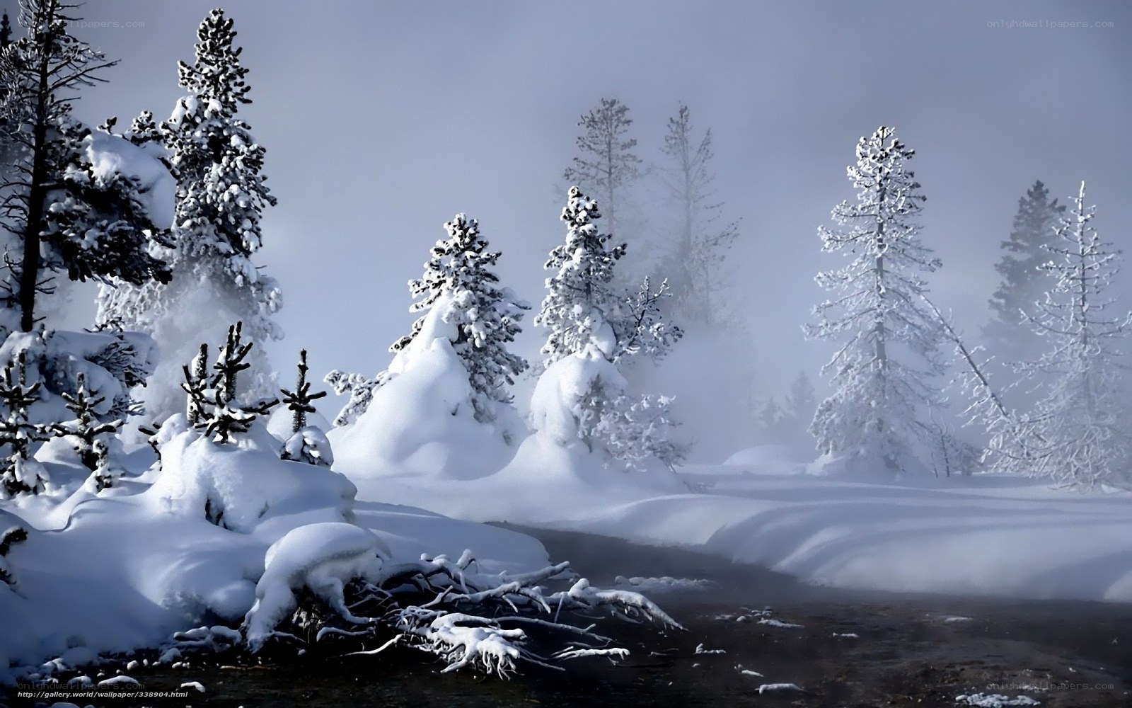 Snowy forest with steam