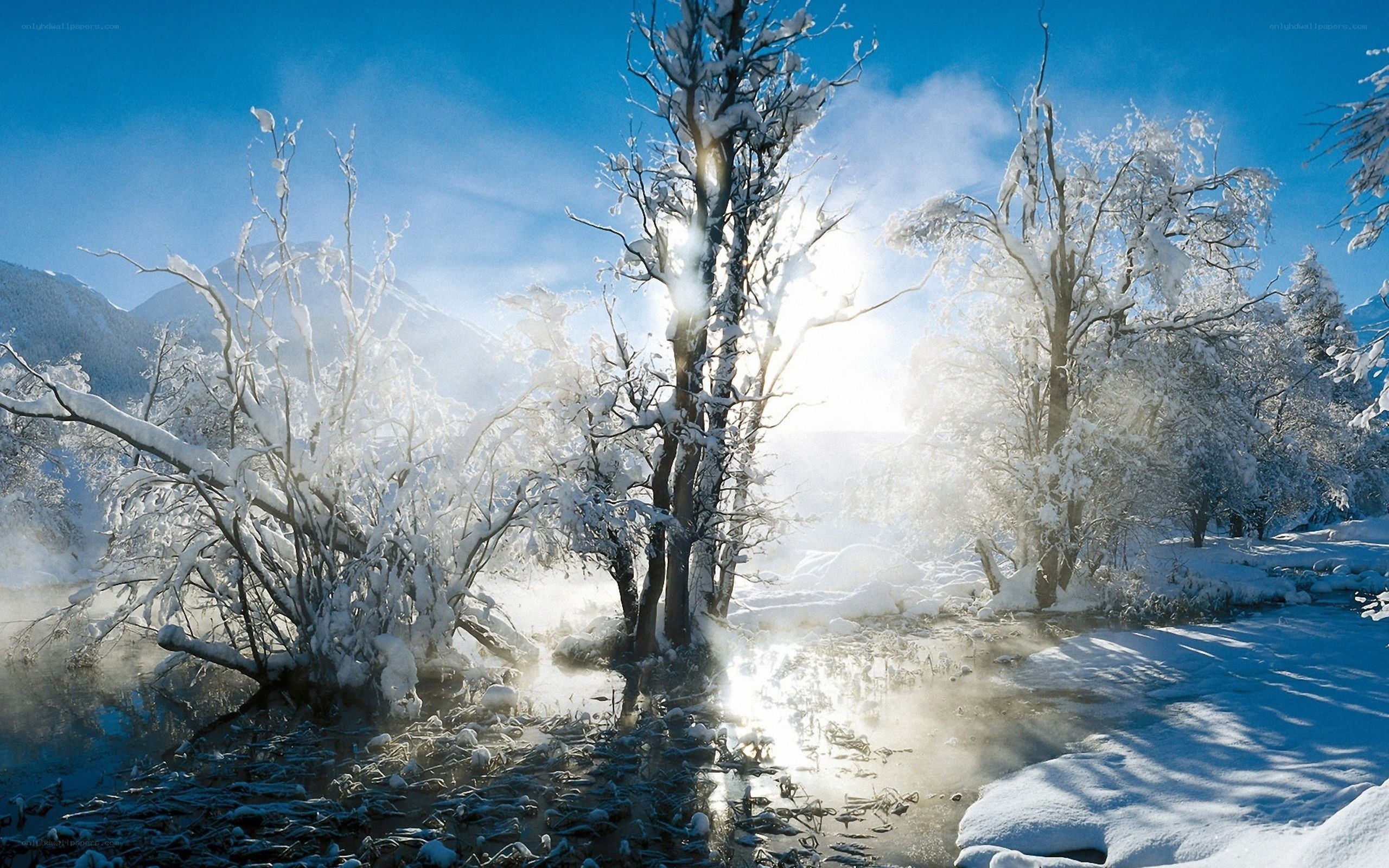Snowy forest with steam
