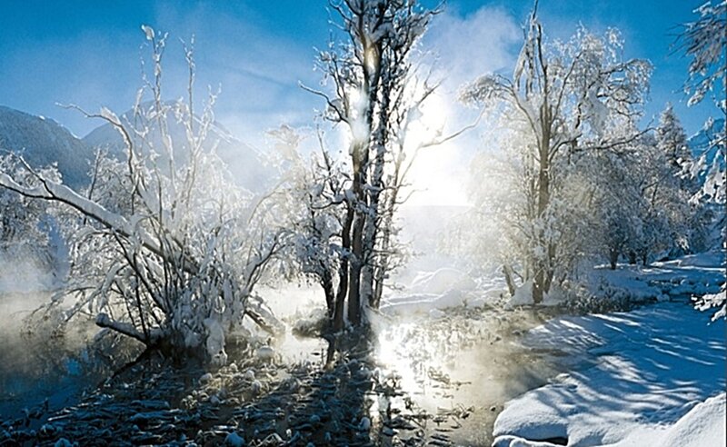 Snowy forest with steam